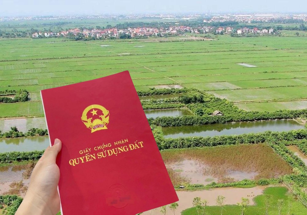 Đất 03 là gì? Quy định và thủ tục chuyển đổi sang đất ở 2024