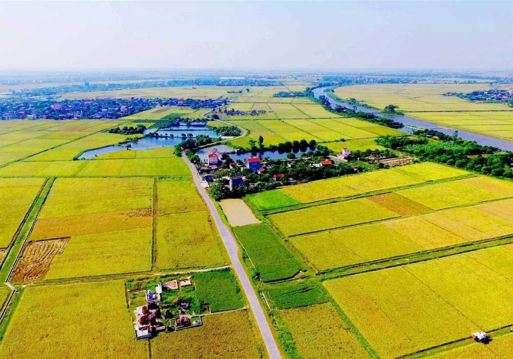Đất 03 là gì? Quy định và thủ tục chuyển đổi sang đất ở 2024