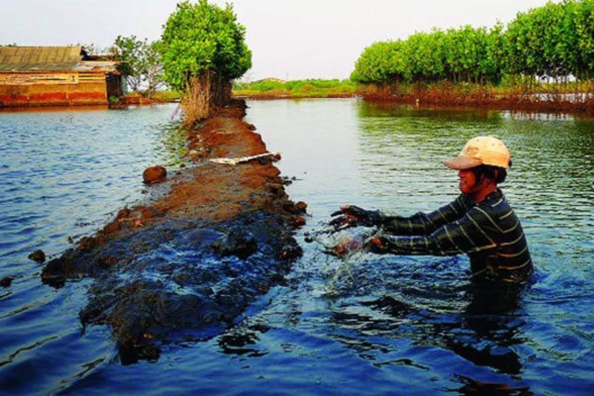 Đất nuôi trồng thủy sản là gì? Nên chuyển đổi sang đất ở không?