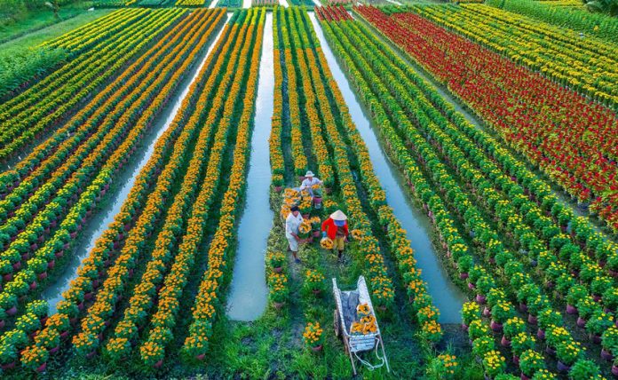 Đất thổ vườn là gì? - Lộc Phát Land