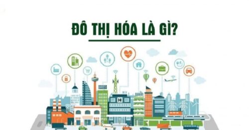 Đô thị hóa là gì? Tìm hiểu về đô thị hoá tại Việt Nam