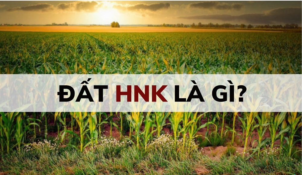 Đất HNK là đất gì? Đất HNK có lên thổ cư được không?