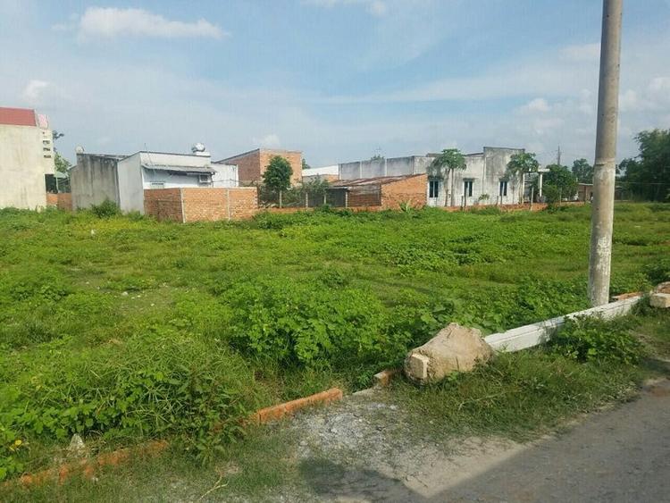 Đất Thổ Cư Là Gì? Năm 2024 Lên Đất Thổ Cư Bao Nhiêu Tiền?
