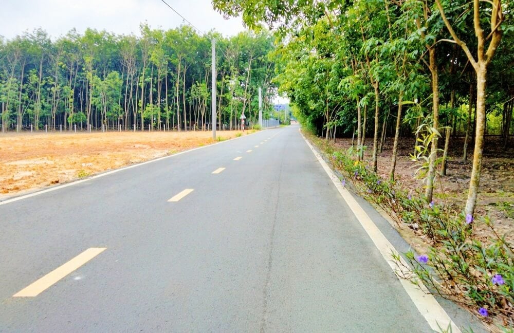 Đất SKC là đất gì? Đất SKC thuộc nhóm đất gì?
