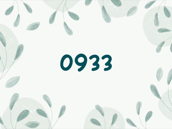 Tìm hiểu thêm về con số 0933 thịnh hành hiện nay | Được viết bởi Nukita13506