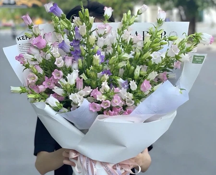 Mô tả về hoa chuông, các loài thực vật nổi bật, cách trồng và chăm sóc chúng tại nhà.