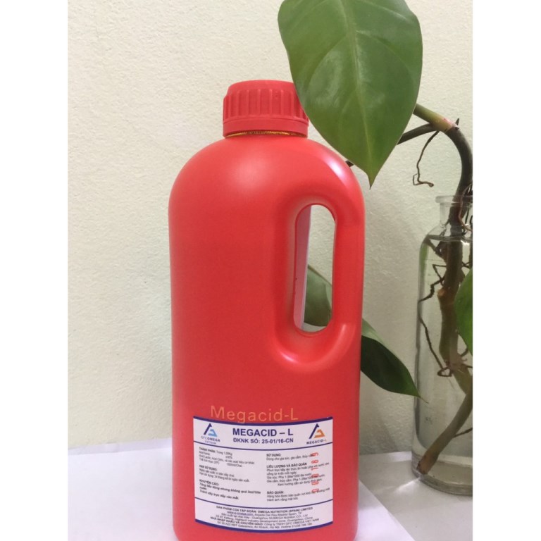 Bệnh cầu trùng ở gà là gì? Triệu chứng, phòng ngừa và điều trị | VIETMOSFARM