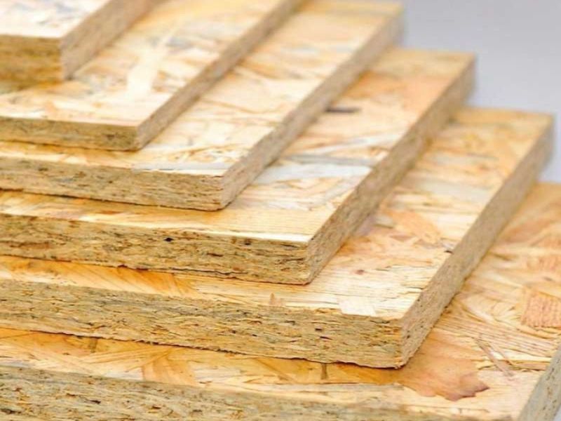 Hoa bạch đàn có ý nghĩa gì trong phong thủy và sức khỏe?